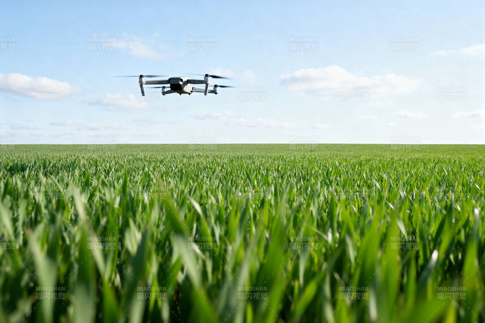 无人机巡田图片