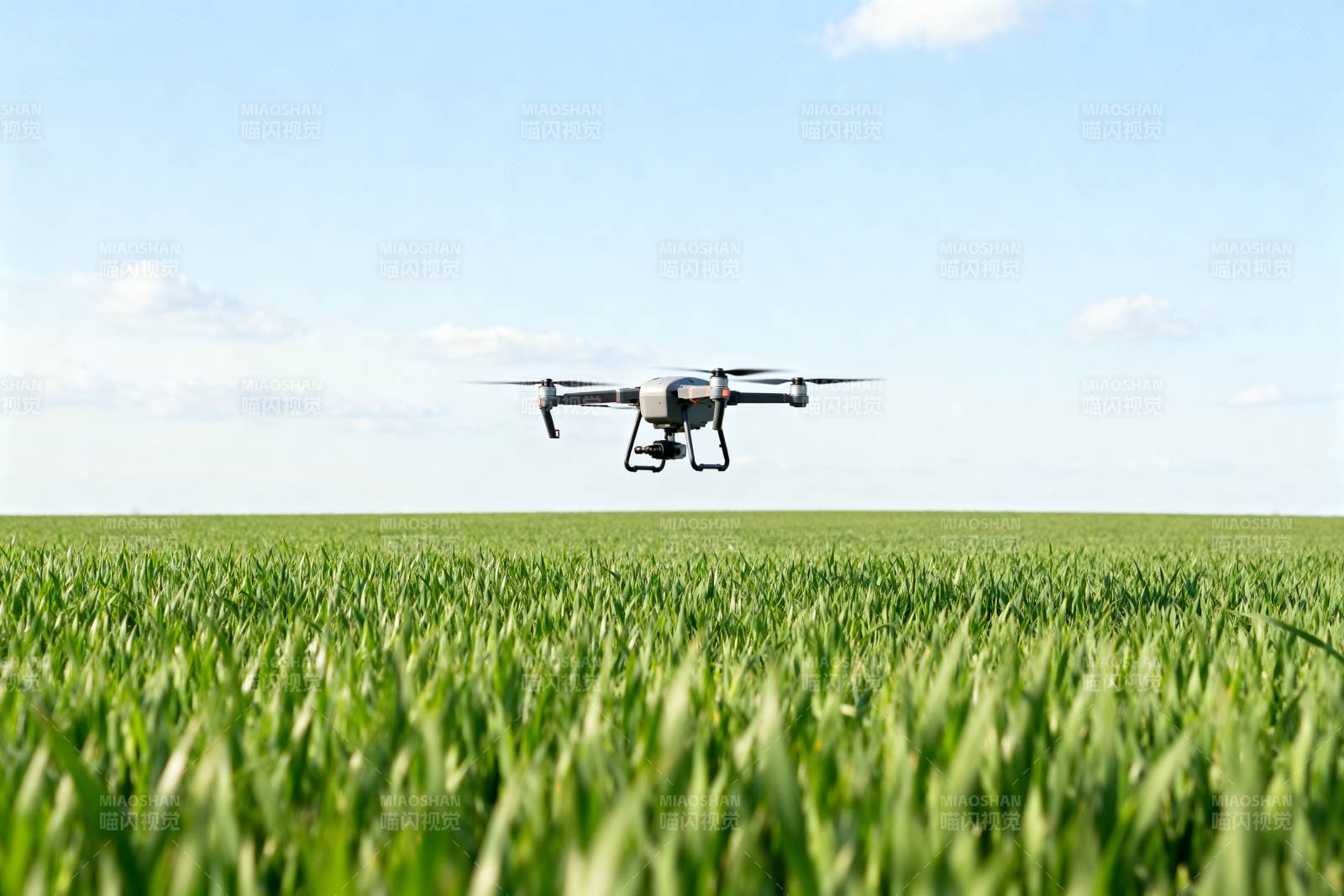 无人机飞越绿野图片