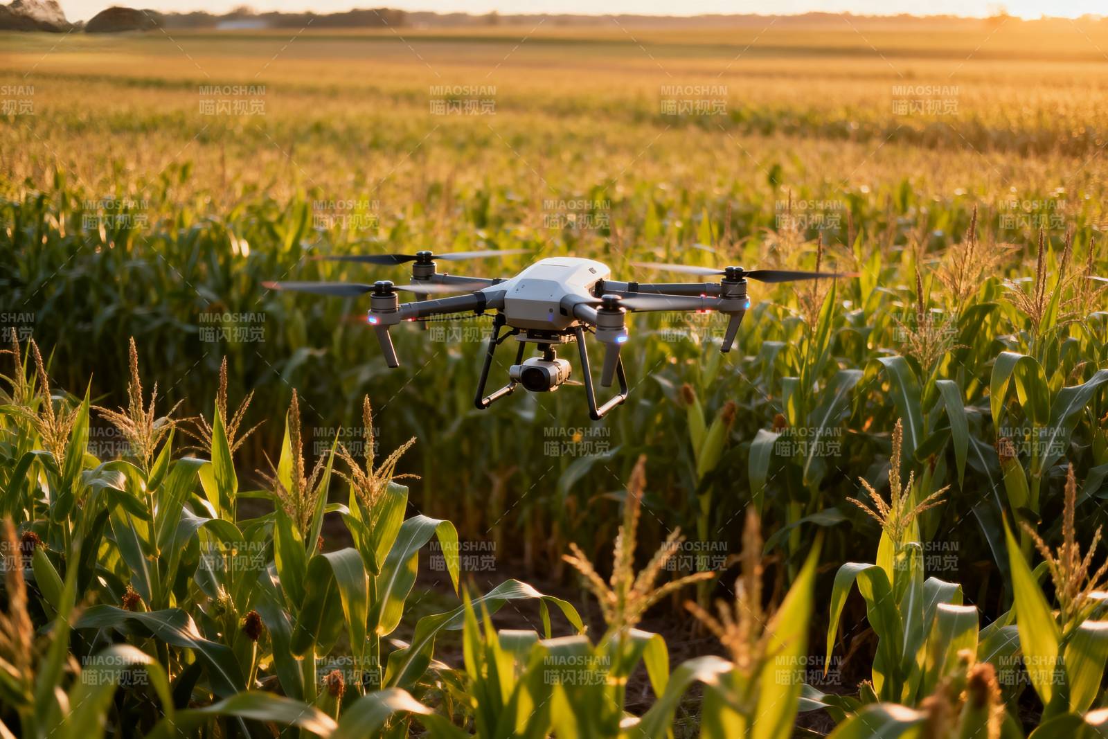 无人机巡田图片
