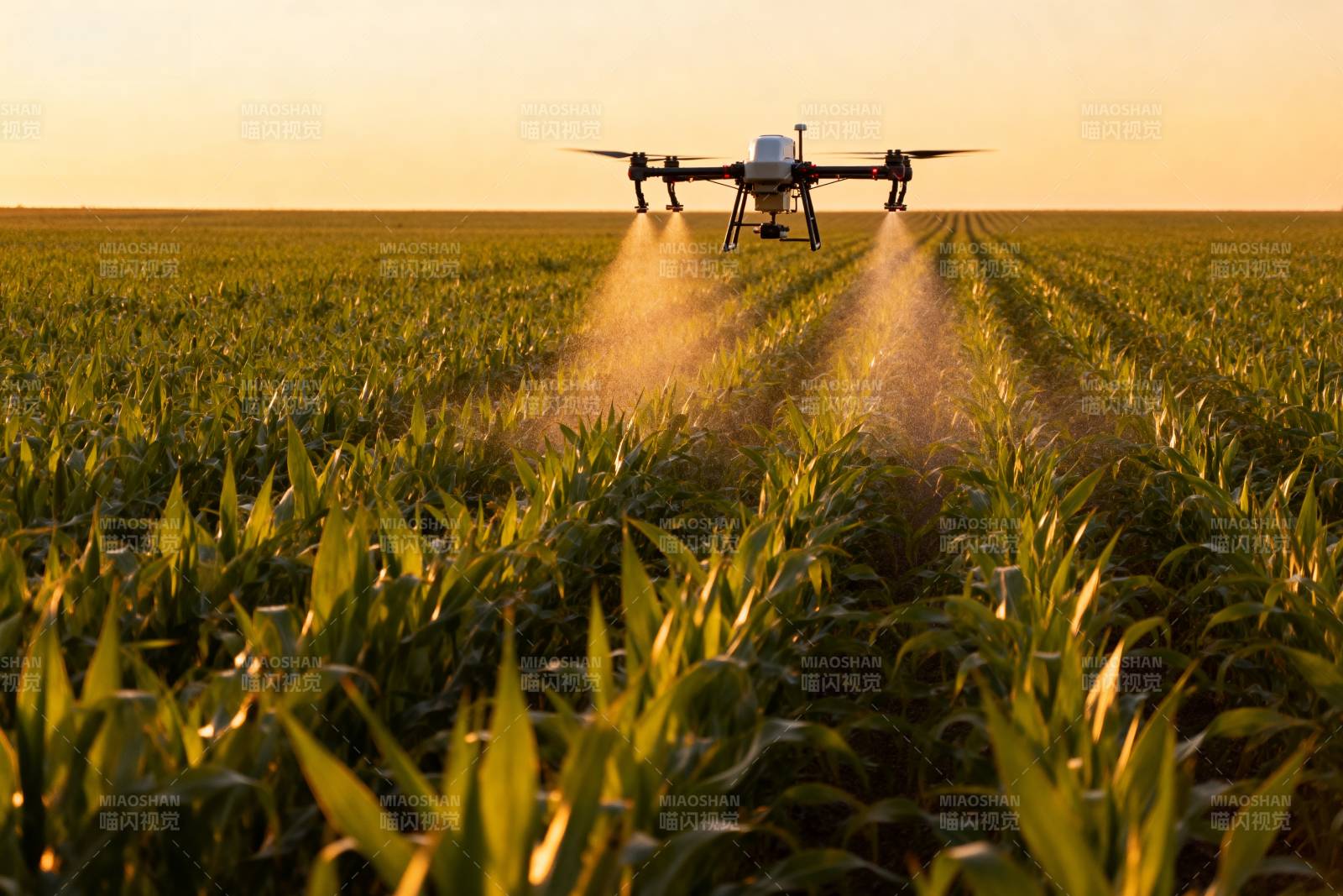 无人机喷洒农田图片