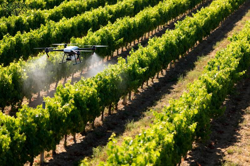 无人机喷洒葡萄园图片