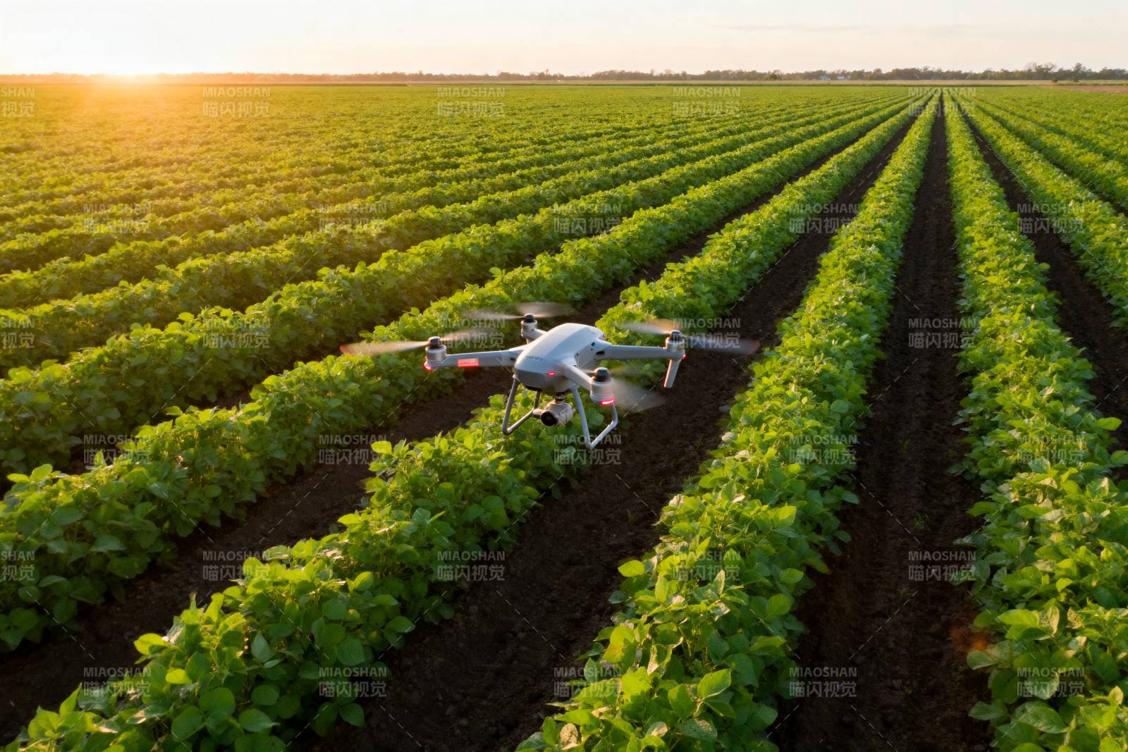 无人机巡田图片