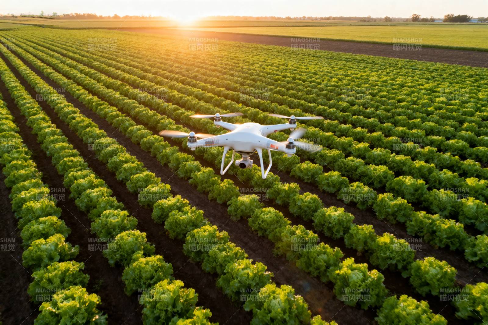 无人机农田巡检图片