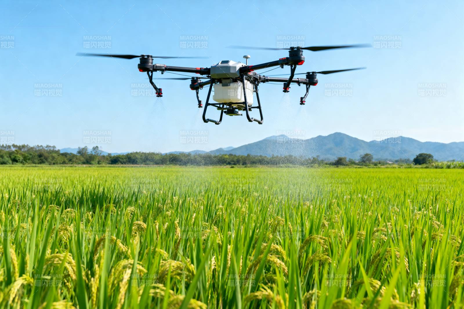 无人机农田喷洒图片