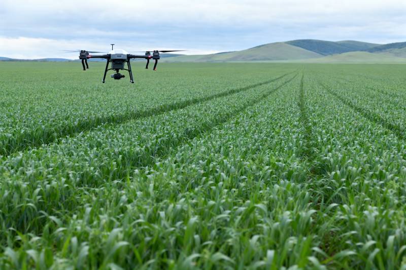 无人机巡田图片