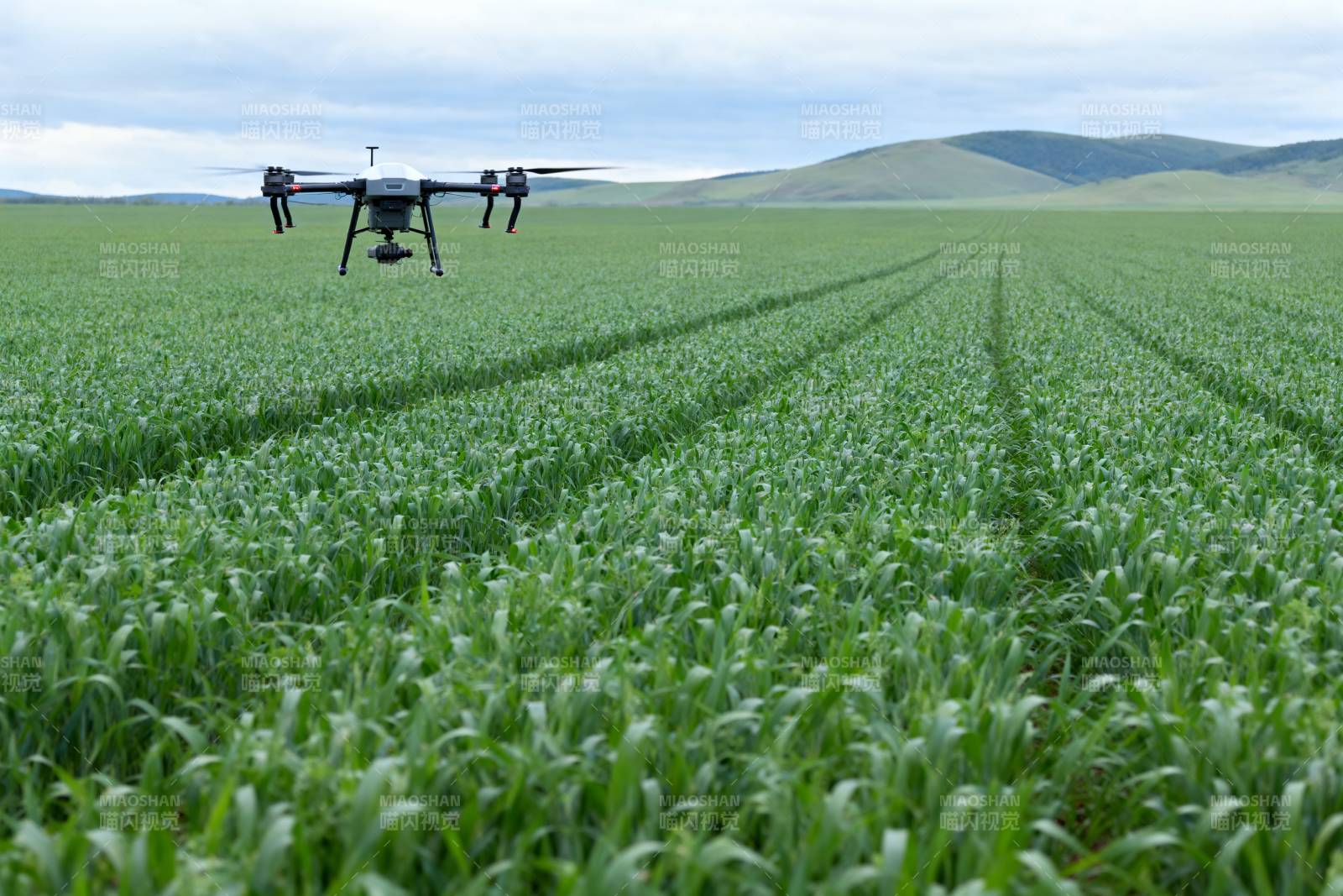 无人机巡田图片