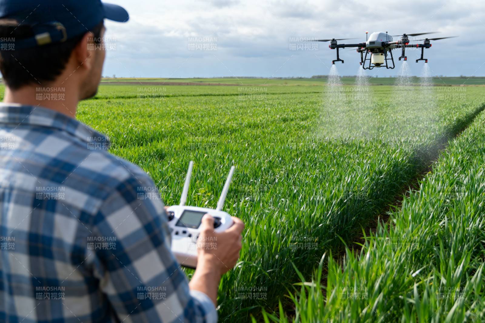 无人机喷洒农田图片
