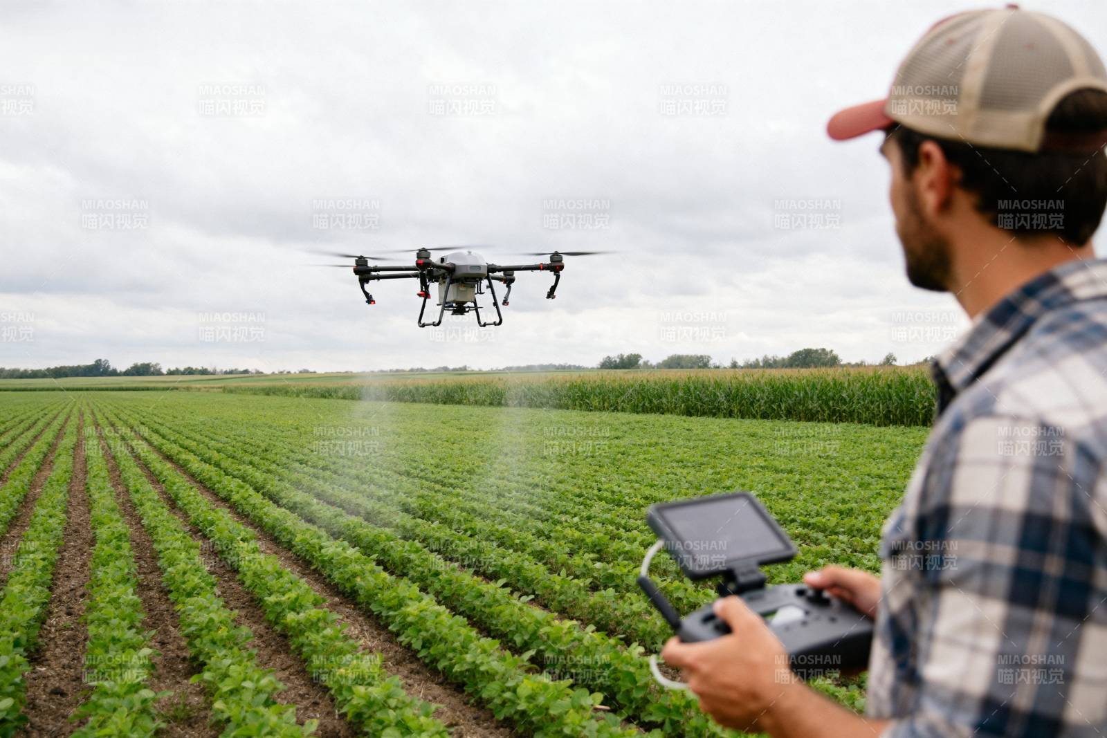无人机农田喷洒图片