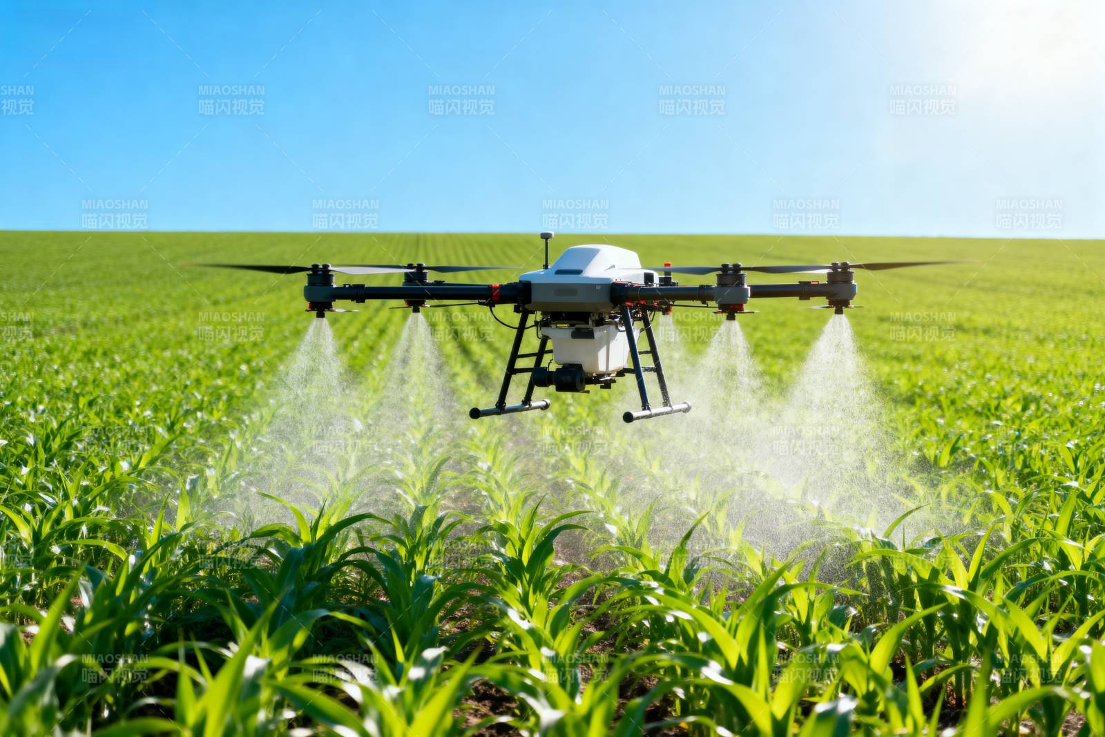 无人机喷洒农田图片