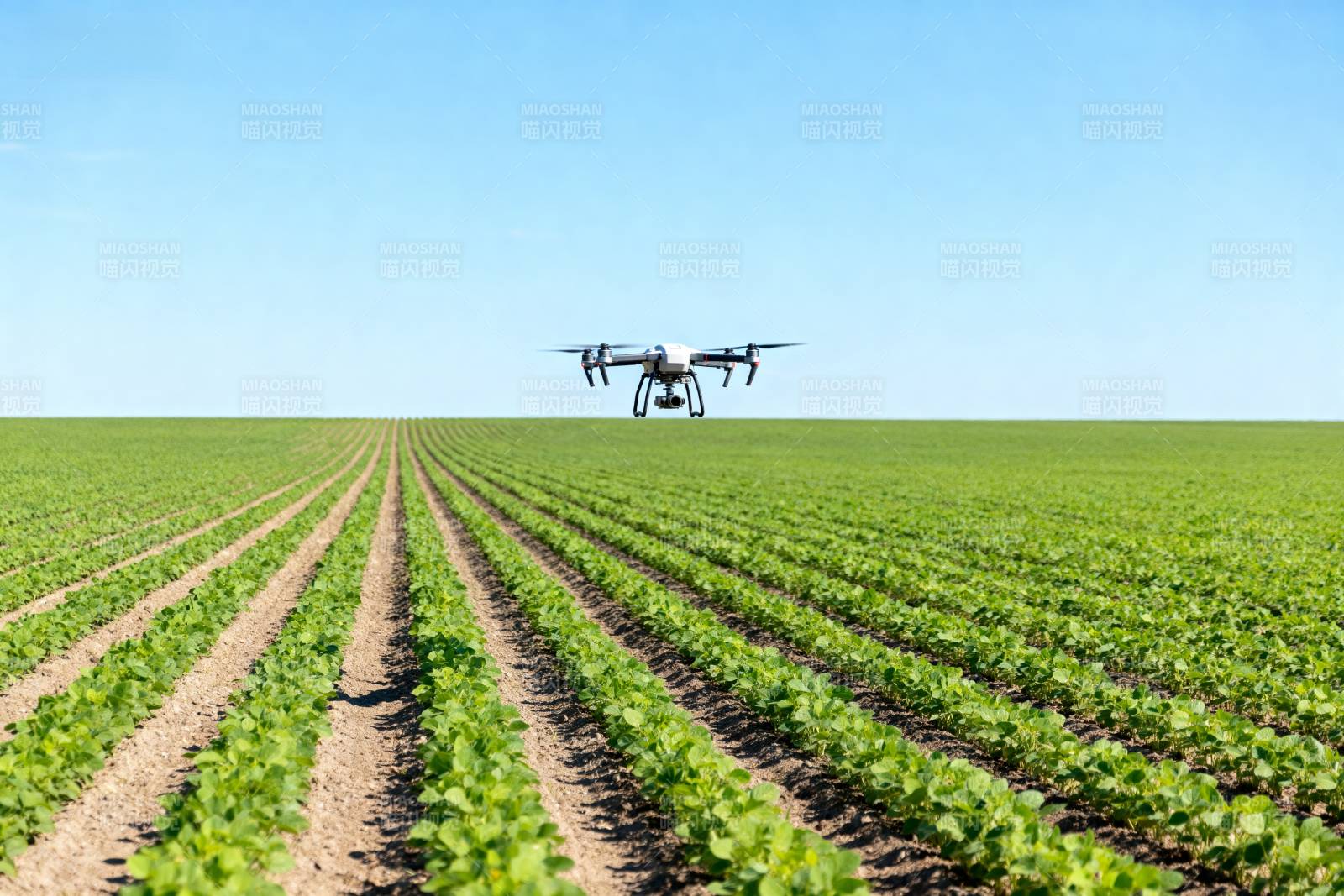 无人机巡田图片
