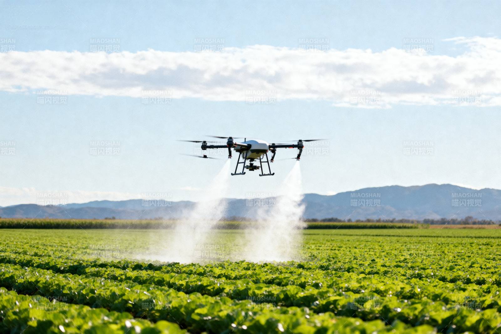 无人机喷洒农田图片