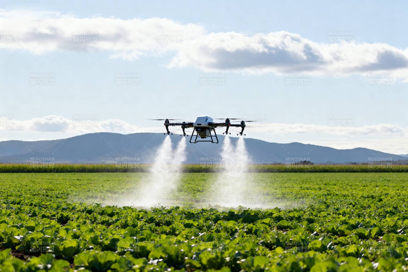 无人机喷洒农田图片