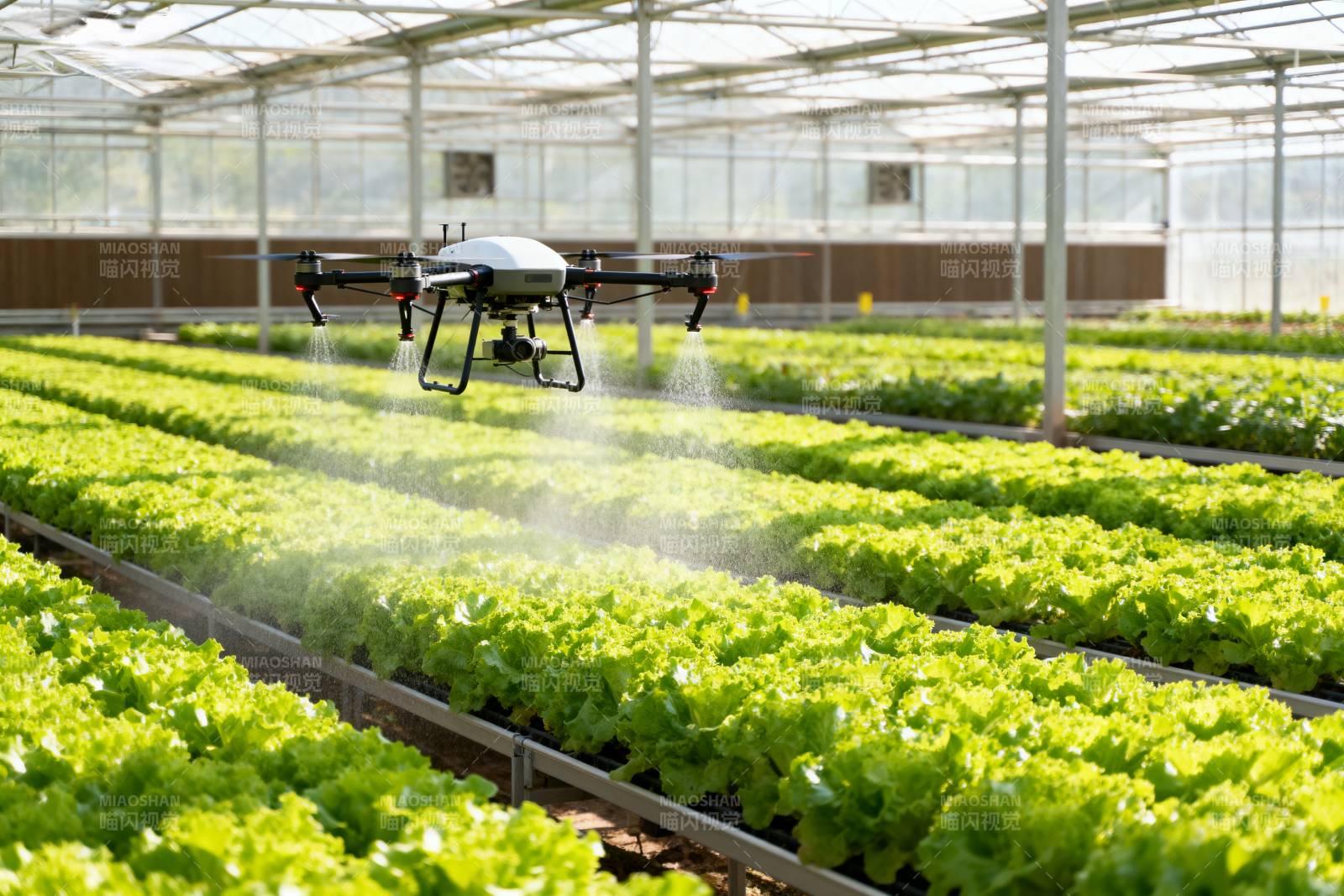 无人机温室喷洒图片