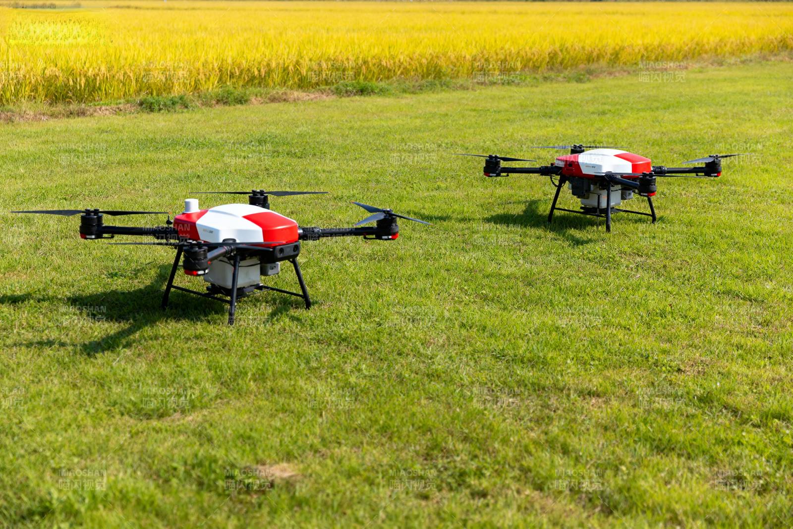 双无人机田间作业图片