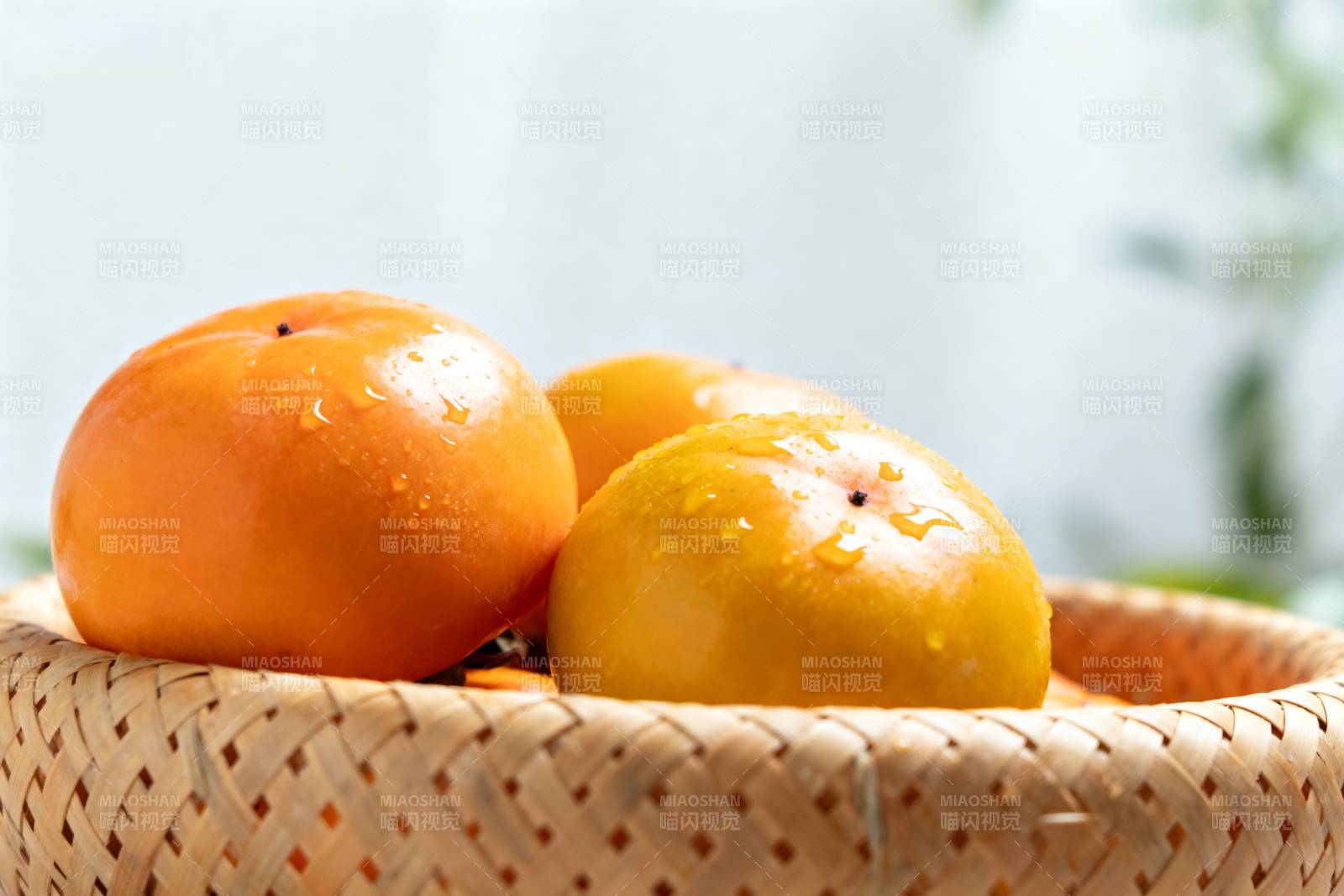 柿子静物图图片