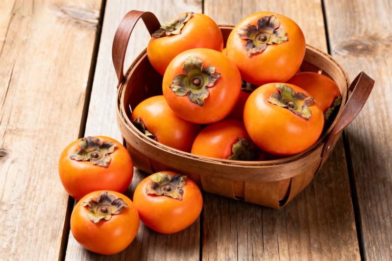 篮中柿子 秋日丰收图片