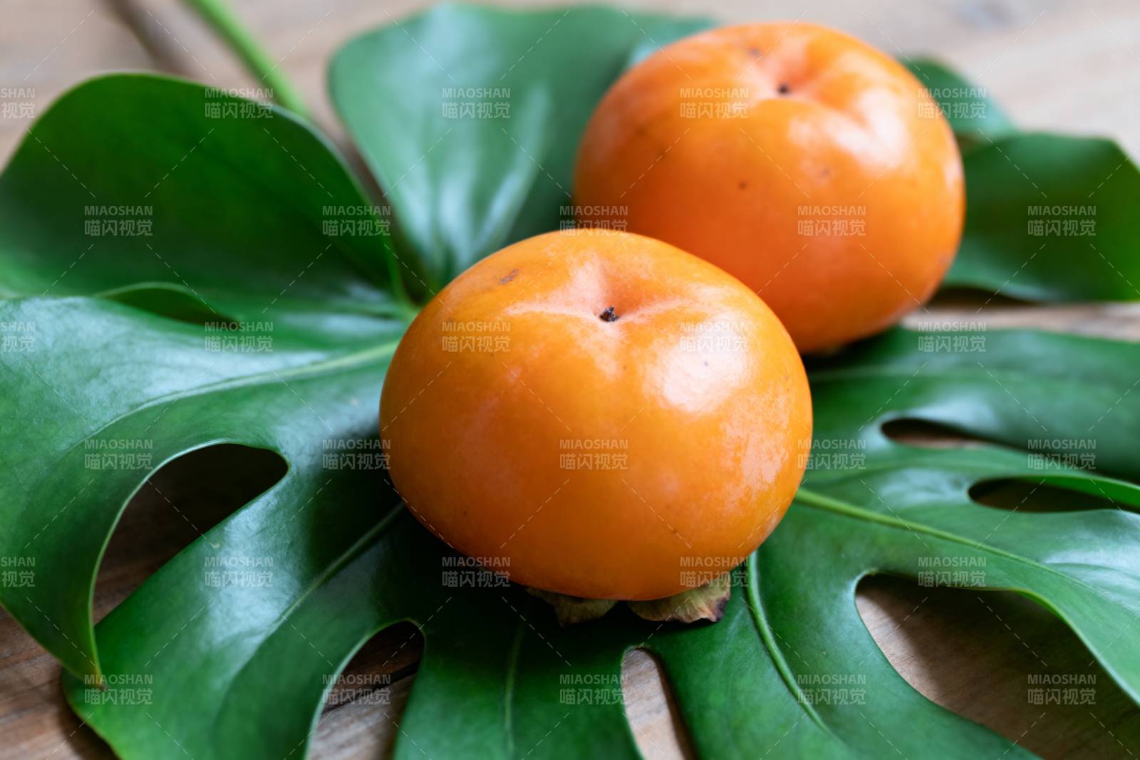 柿子与绿叶相伴图片