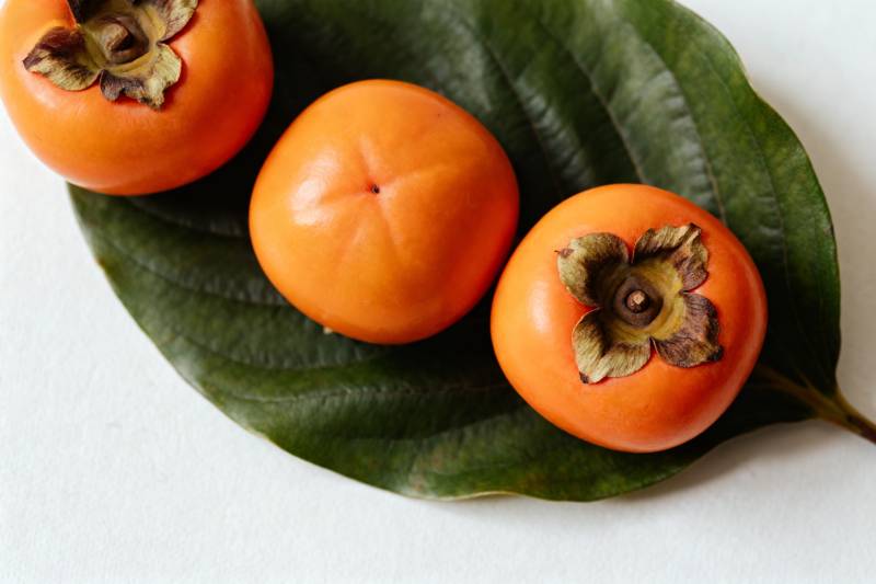 柿子静物图图片