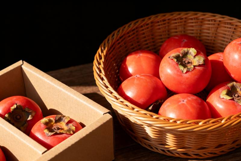 柿子丰收图图片