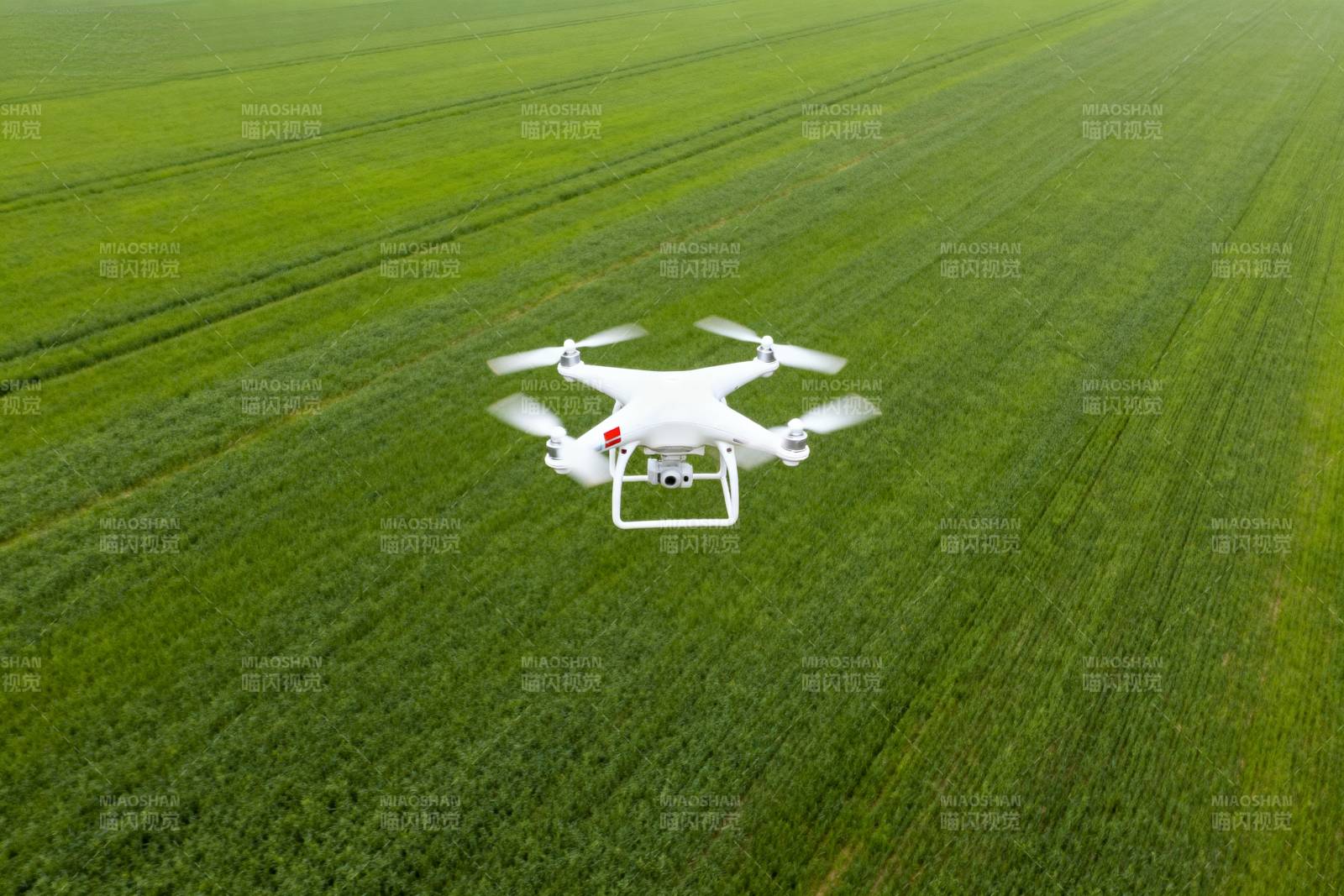 无人机飞越绿野图片