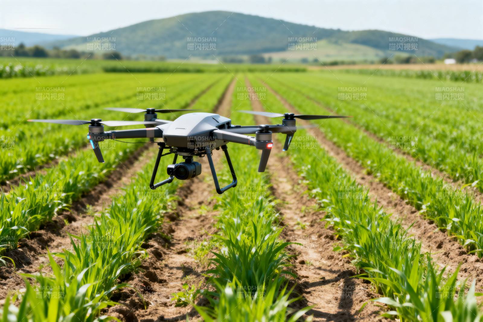 无人机巡田图片
