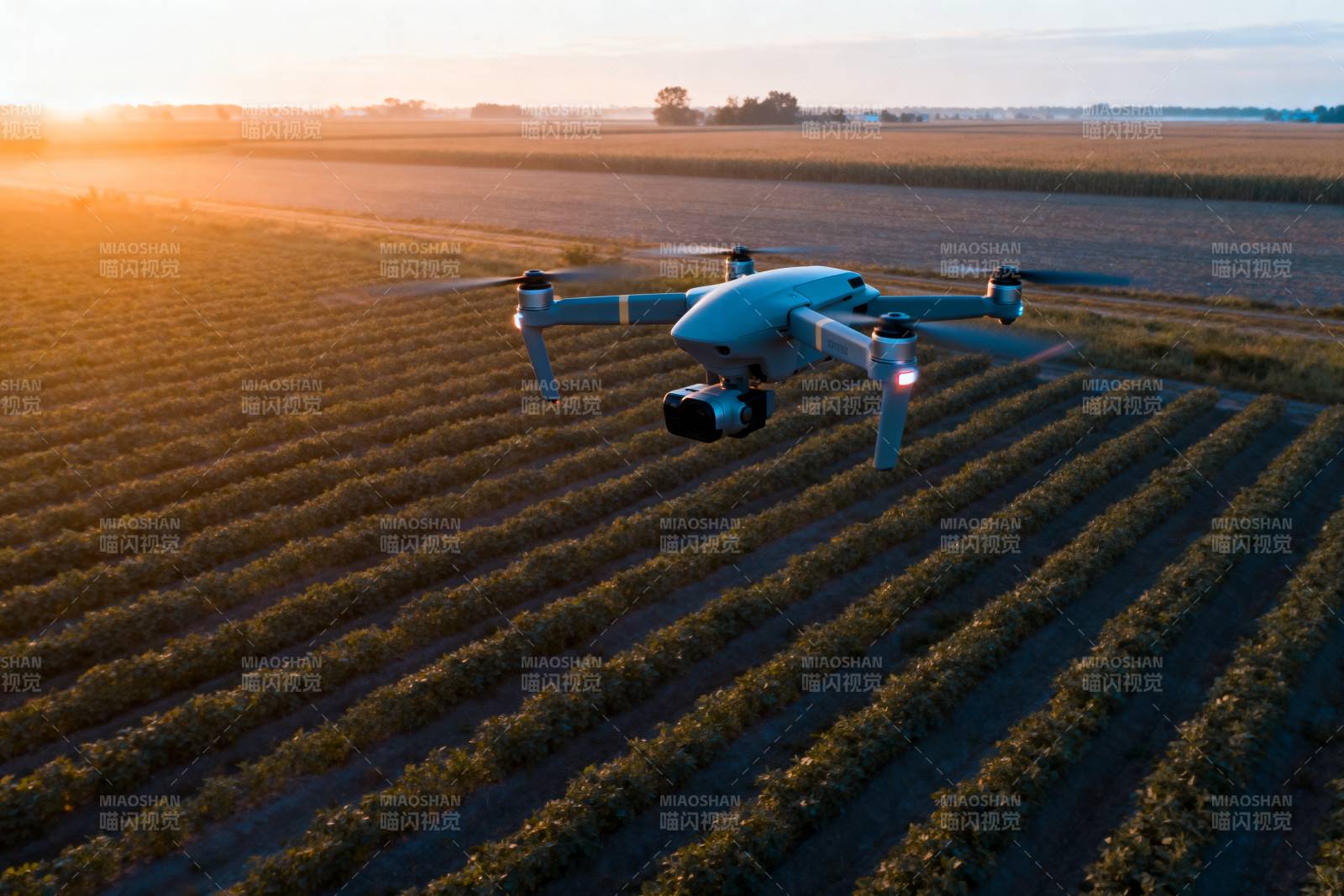 无人机巡田图片