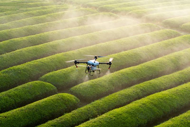 无人机喷洒茶园图片