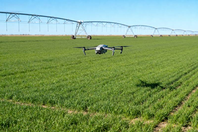 无人机巡田图片