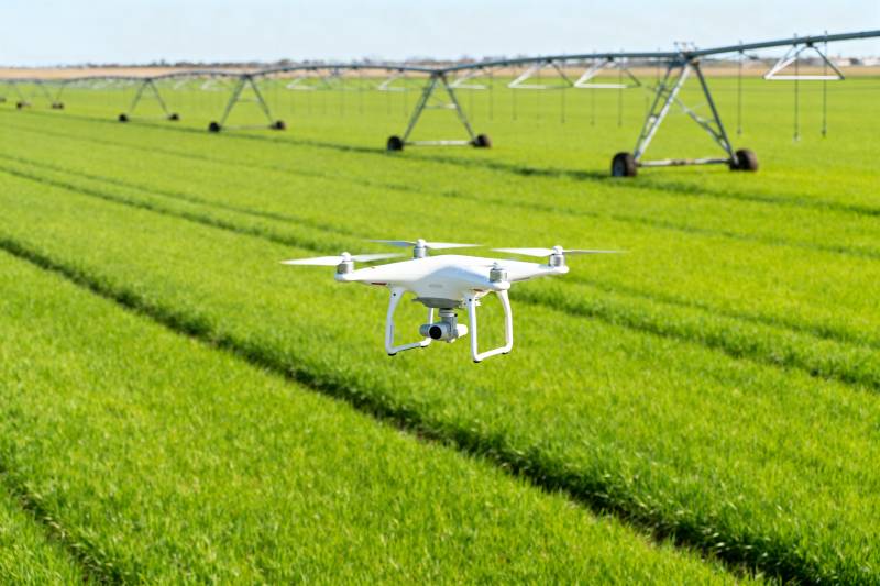 无人机巡田图片