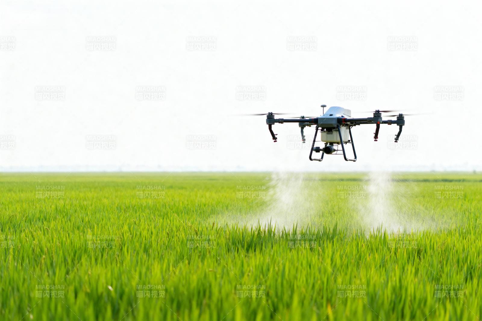 无人机喷洒农田图片