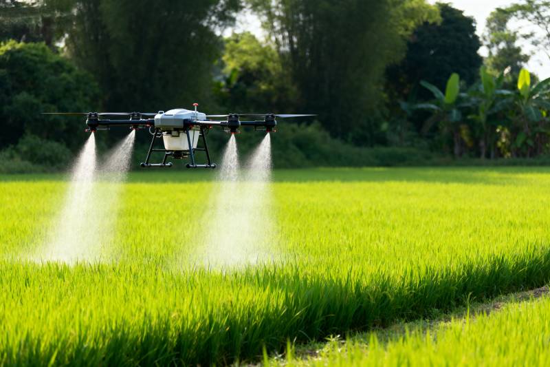 无人机喷洒农田图片
