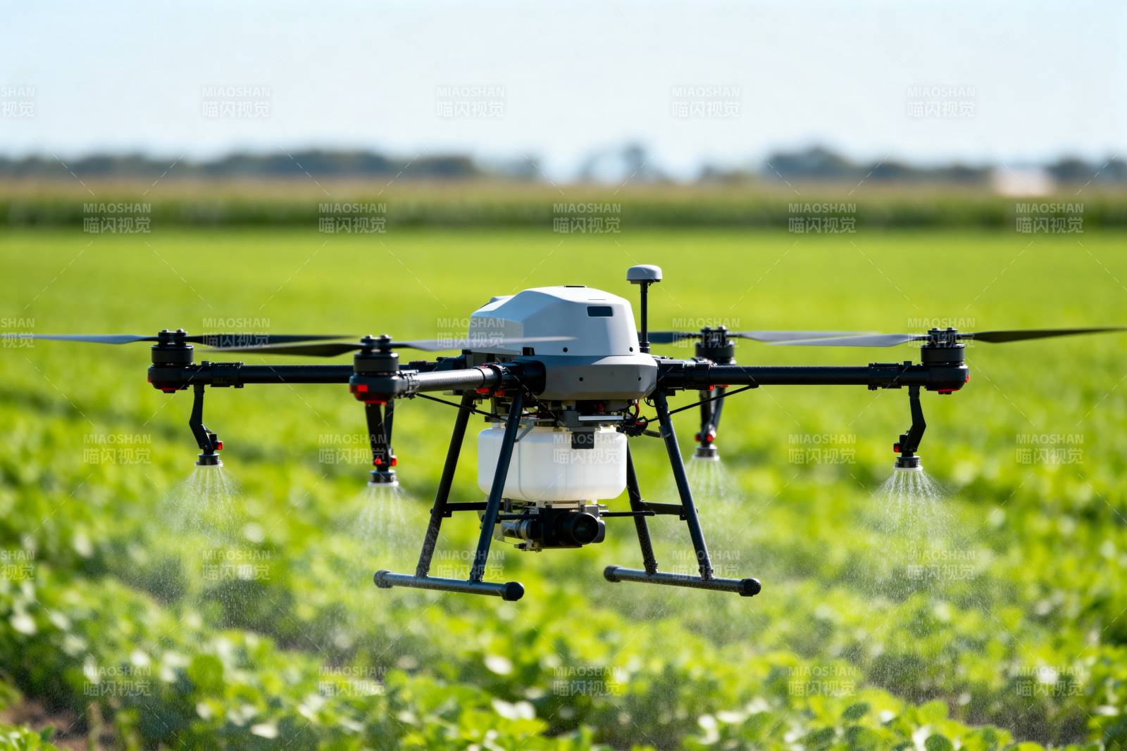 无人机农田喷洒图片