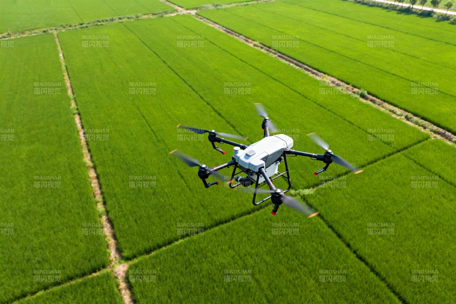 无人机巡田图片