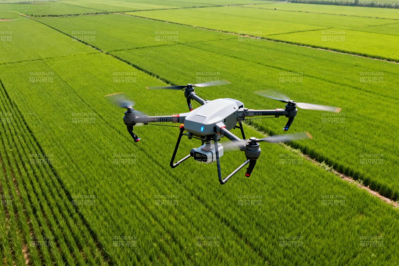 无人机巡田图片
