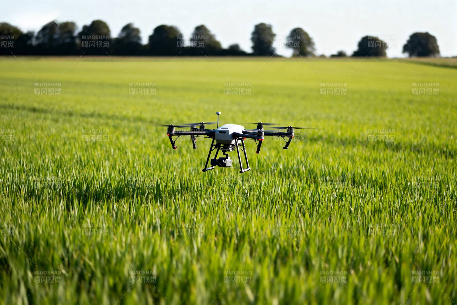 无人机飞越绿野图片