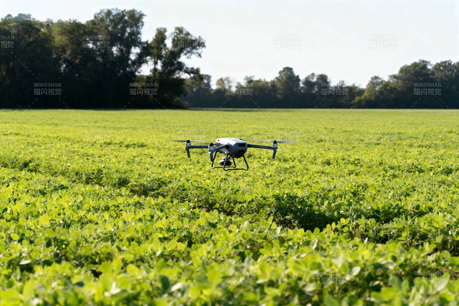 无人机飞越绿野图片