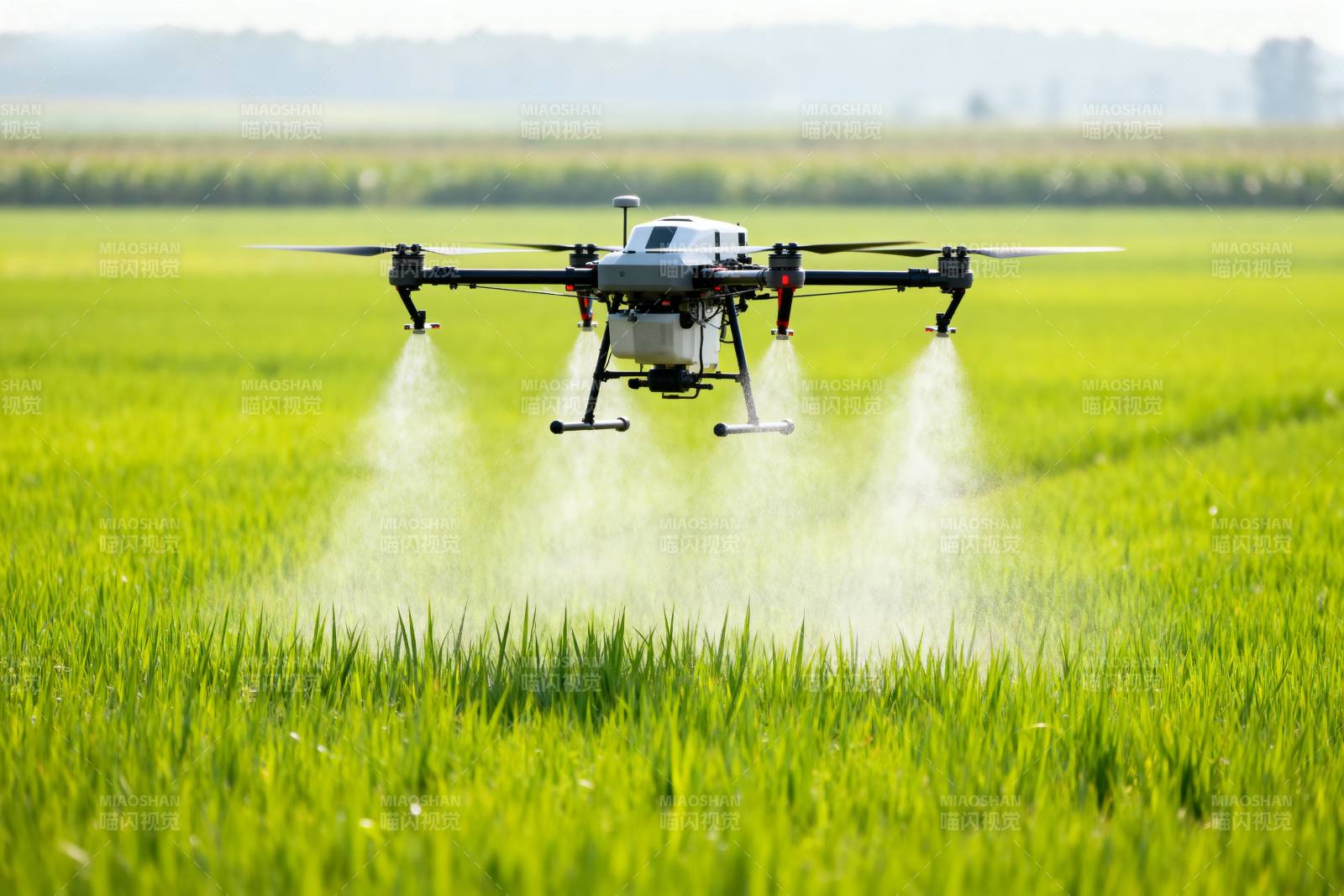 无人机农田喷洒图片