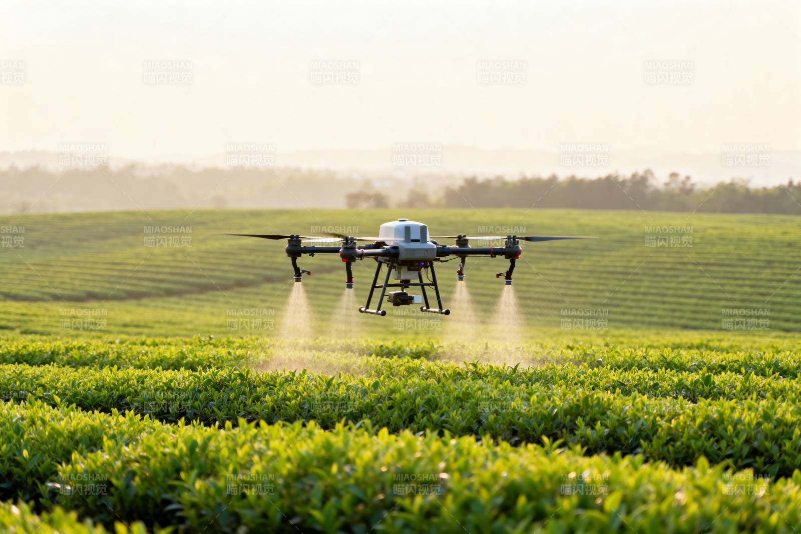 无人机喷洒农田图片