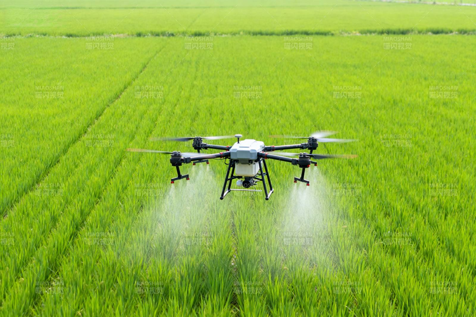 无人机喷洒农田图片