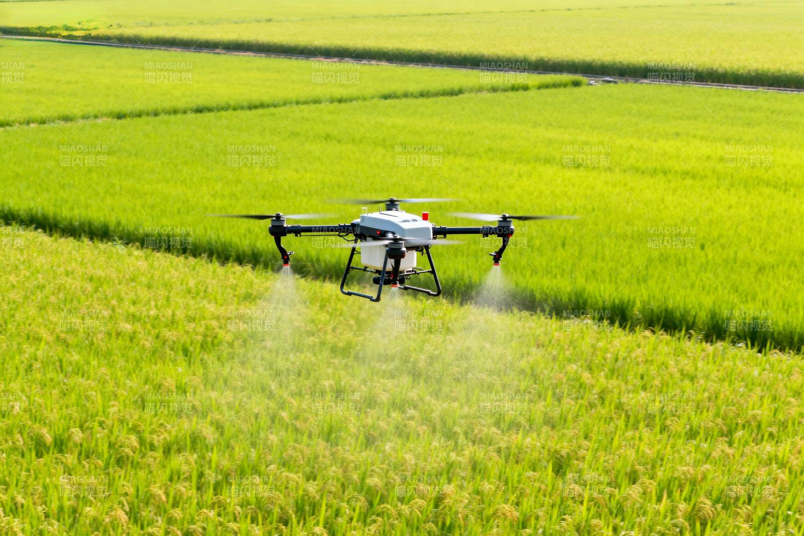 无人机喷洒农田图片