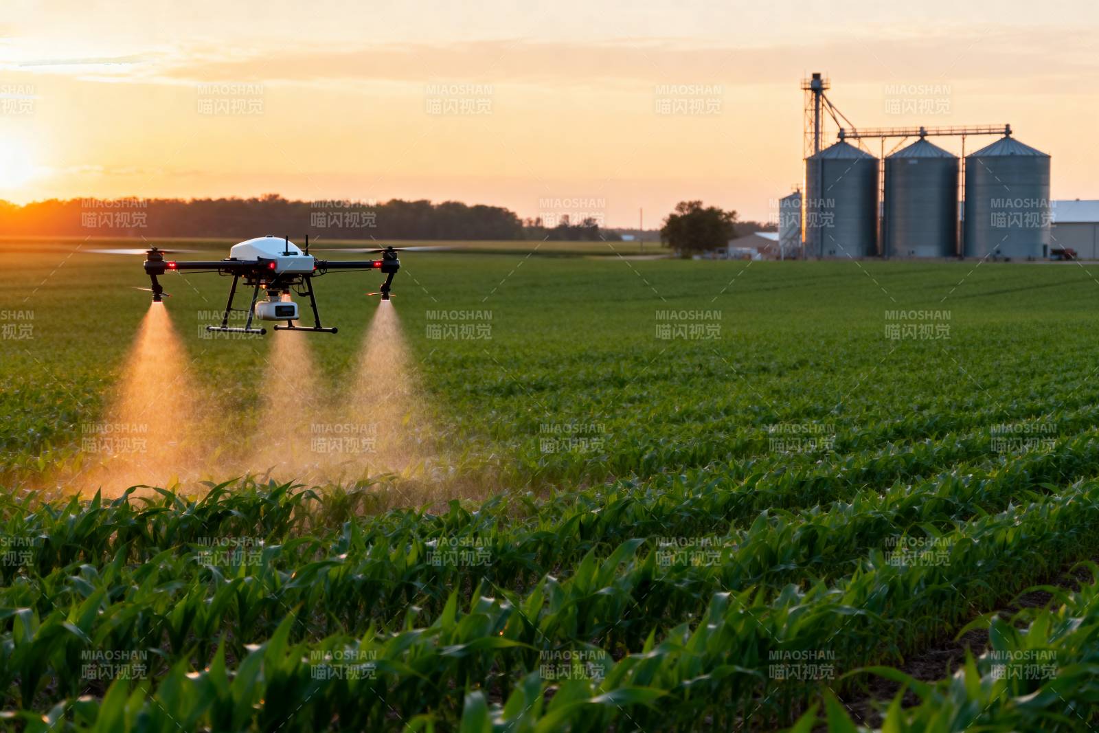 无人机农田喷洒图片
