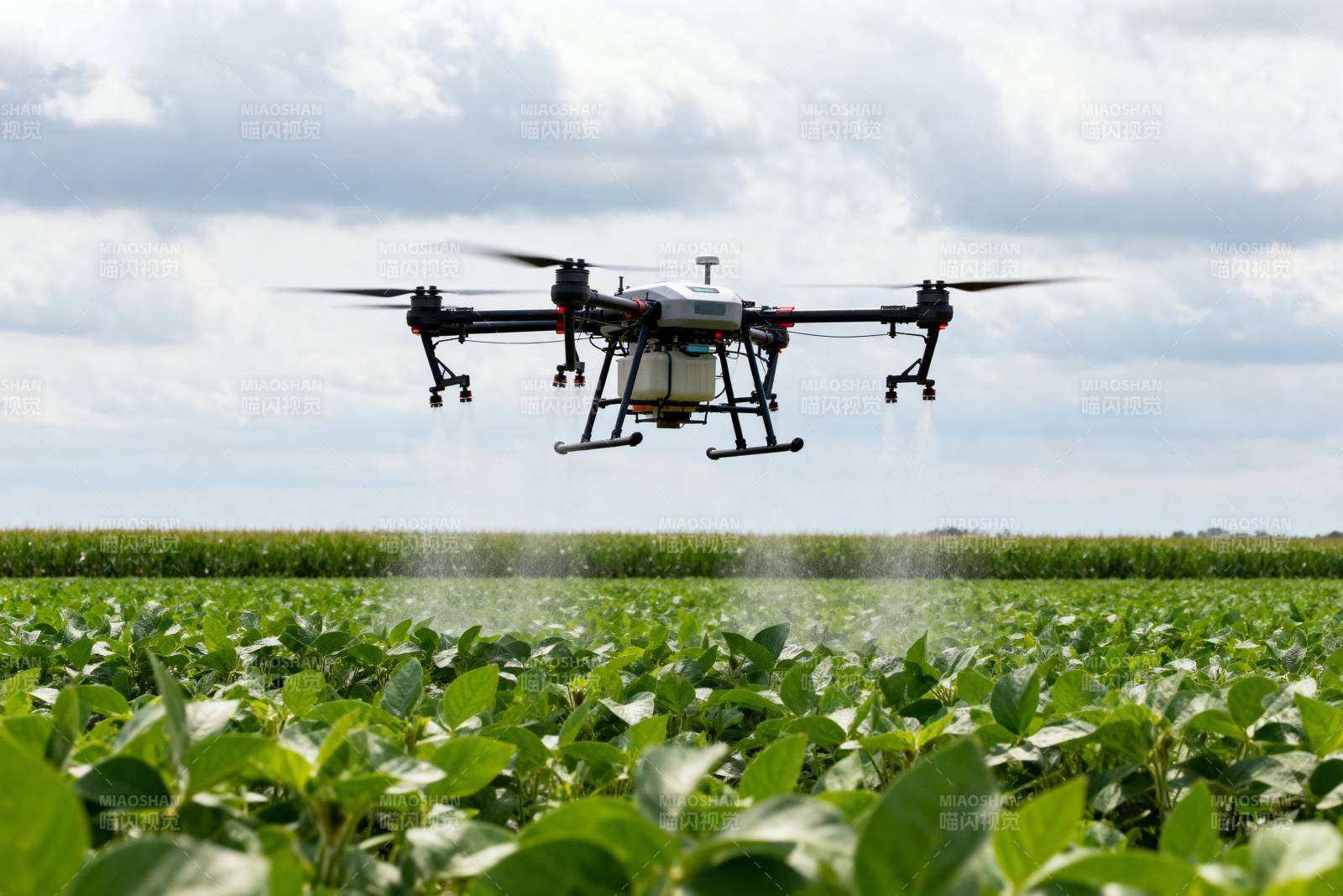 无人机喷洒农田图片