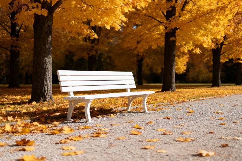 秋日公园长椅图片
