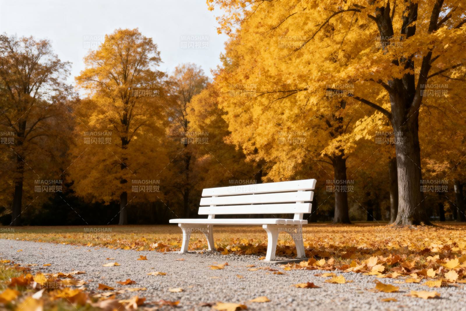 秋日公园长椅图片