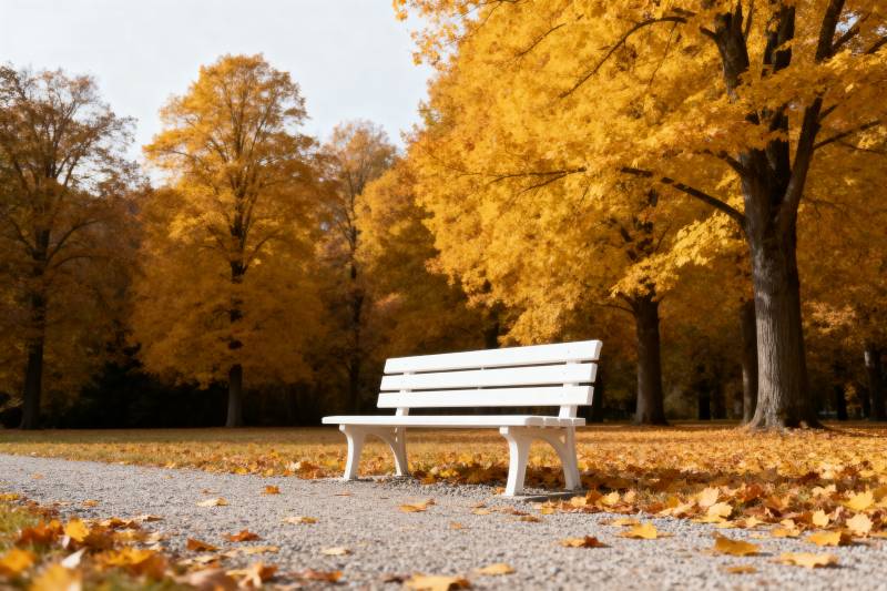秋日公园长椅图片