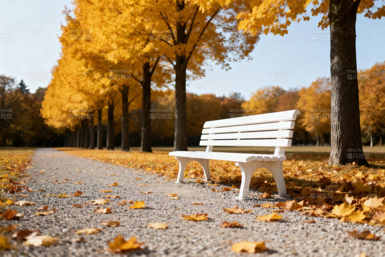 秋日长椅静谧景图片