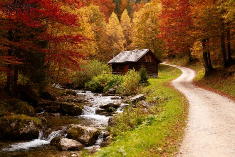 秋林小屋溪流景图片