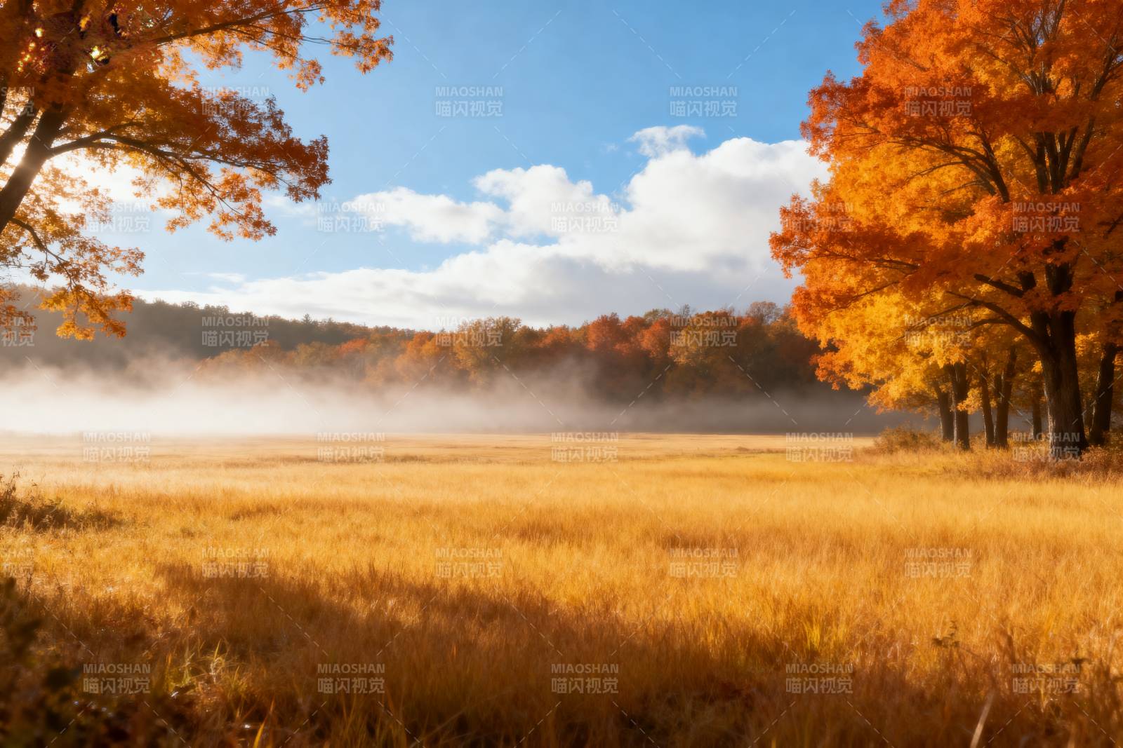 秋日晨雾田野图片