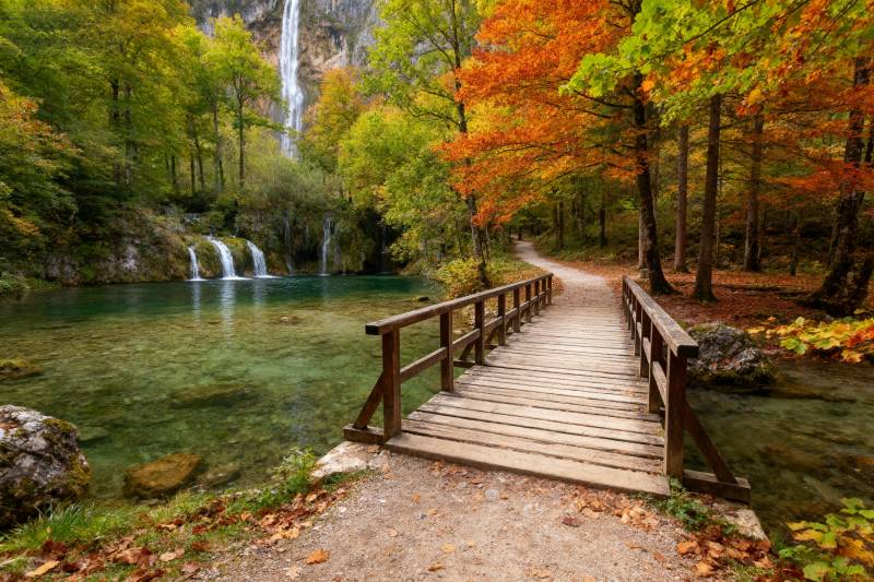 秋林溪桥美景图片