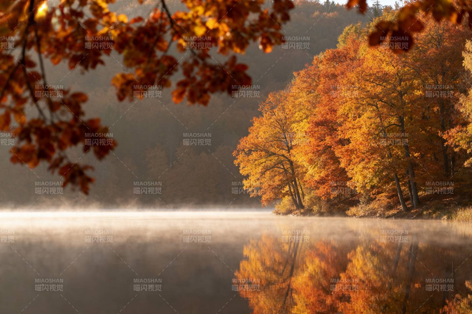 秋湖晨雾图片